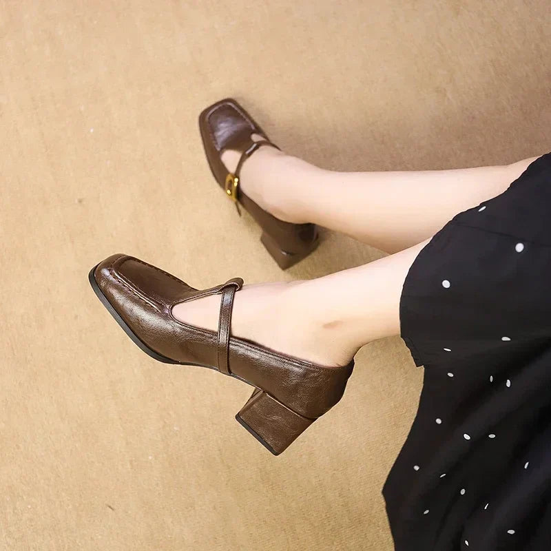 Women's Vintage French Square Toe Block Heel Mary Jane Shoes