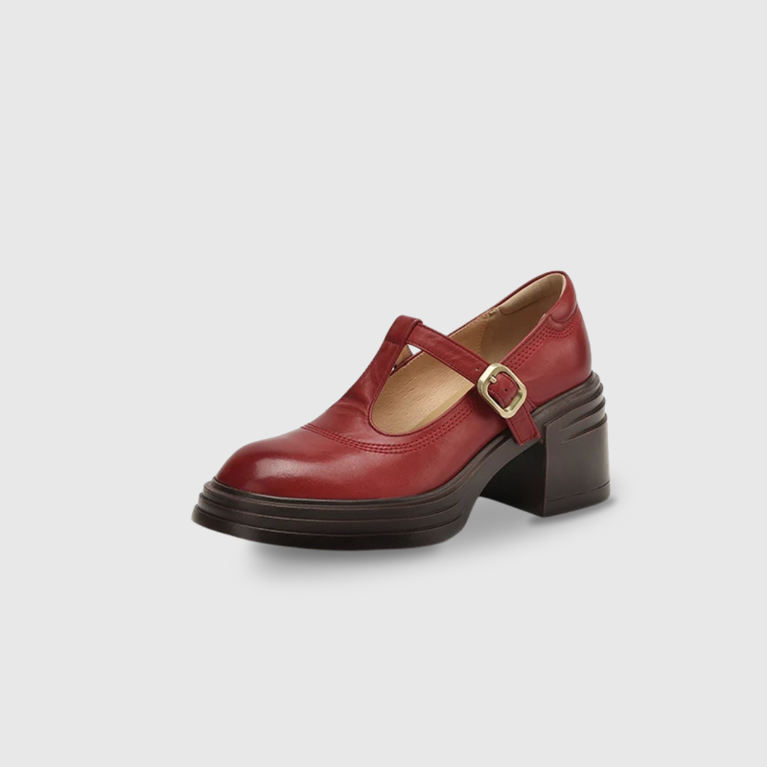 Women's Classic Chunky Block Heel Mary Jane Pumps