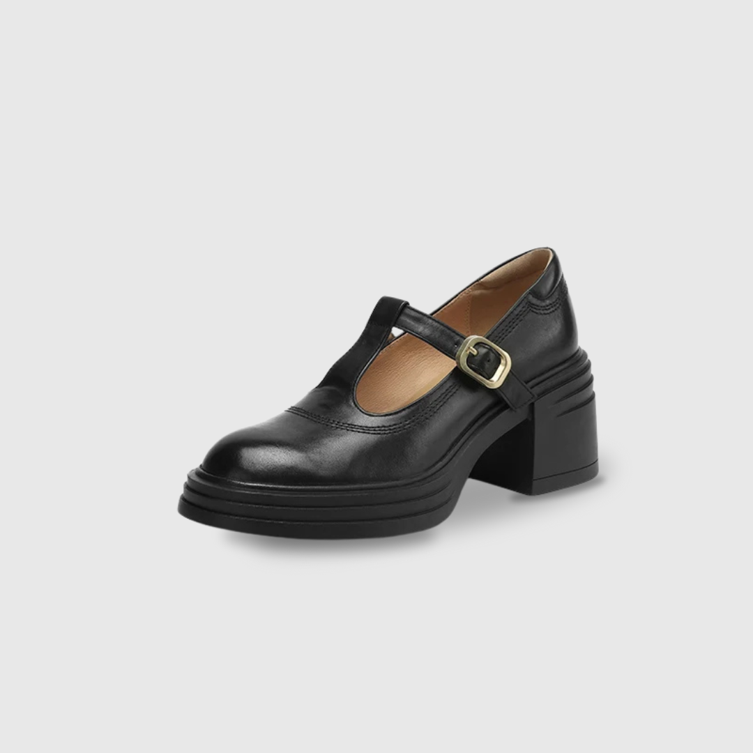 Women's Classic Chunky Block Heel Mary Jane Pumps